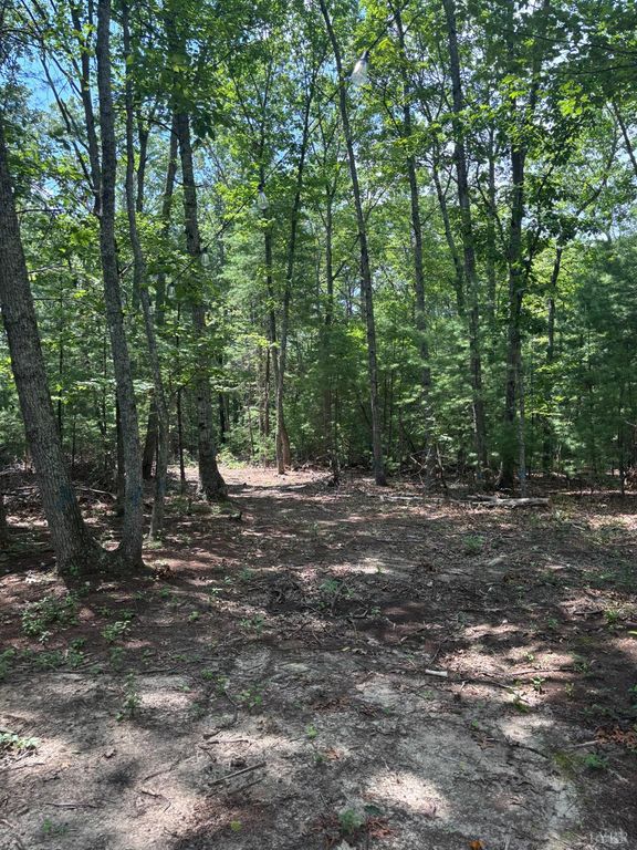 0 Cheatham Road, Monroe, VA 24574