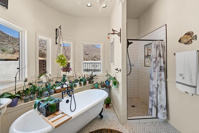 56375 Bighorn Drive, Mountain Center, CA 92561