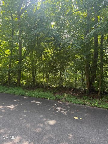 2208 Nantucket Drive, Johnson City, TN 37604
