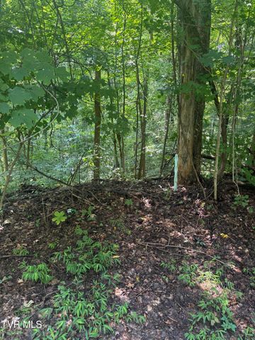 2208 Nantucket Drive, Johnson City, TN 37604