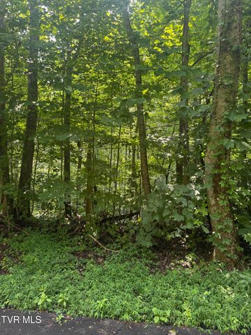 2208 Nantucket Drive, Johnson City, TN 37604