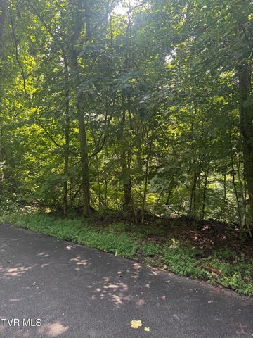 2208 Nantucket Drive, Johnson City, TN 37604