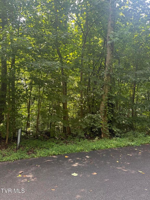 2208 Nantucket Drive, Johnson City, TN 37604