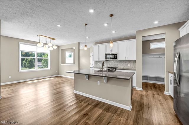 6244 Cardinal Meadow Court, Mentor, OH 44060
