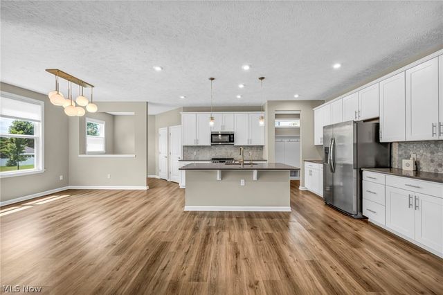 6244 Cardinal Meadow Court, Mentor, OH 44060