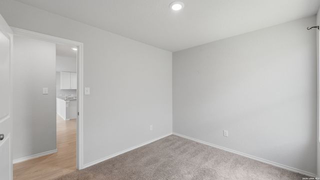 2627 Pechora Pipit, New Braunfels, TX 78130