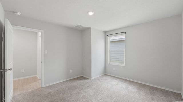 2627 Pechora Pipit, New Braunfels, TX 78130