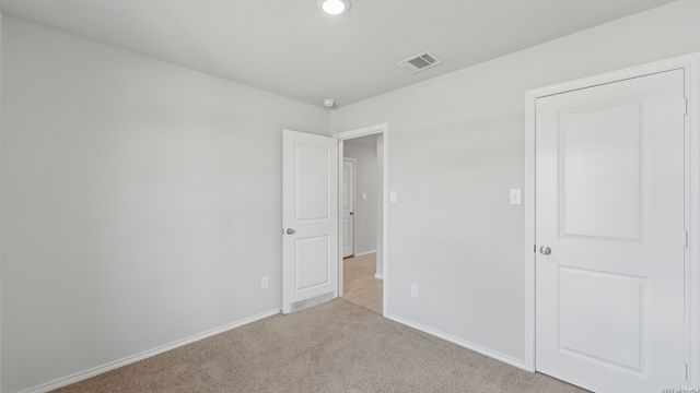 2627 Pechora Pipit, New Braunfels, TX 78130
