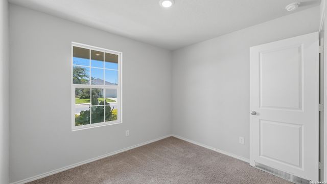 2627 Pechora Pipit, New Braunfels, TX 78130