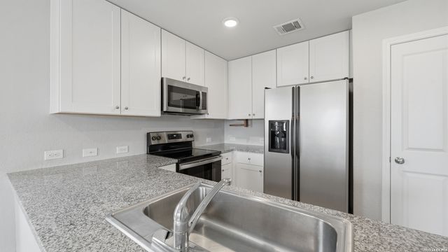 2627 Pechora Pipit, New Braunfels, TX 78130