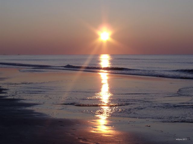 8560 Queensway Blvd Apt 1407, Myrtle Beach, SC 29572