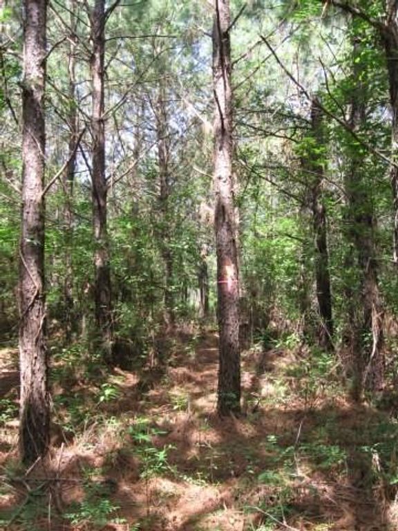 0001 Pelican Road, Shepherd, TX 77371