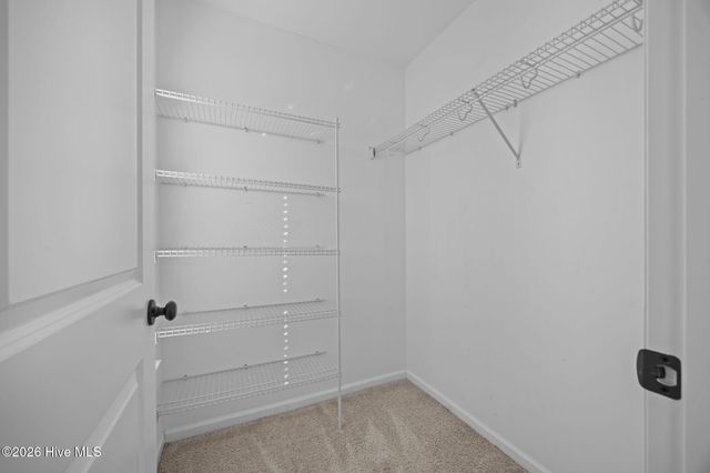 5808 Sagebrush Drive, Greenville, NC 27858