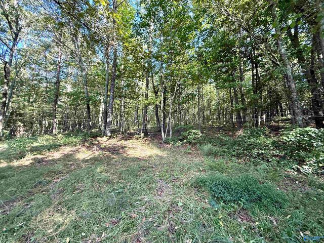 1150 Buzzard Rock Road, Altoona, AL 35952