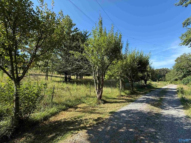 1150 Buzzard Rock Road, Altoona, AL 35952