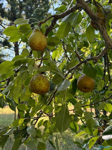 1150 Buzzard Rock Road, Altoona, AL 35952