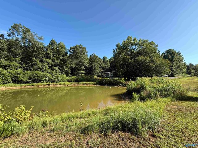 1150 Buzzard Rock Road, Altoona, AL 35952