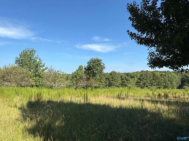 1150 Buzzard Rock Road, Altoona, AL 35952