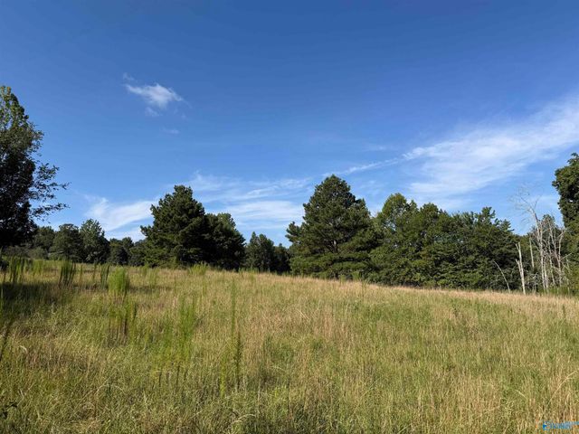 1150 Buzzard Rock Road, Altoona, AL 35952