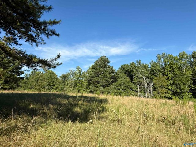 1150 Buzzard Rock Road, Altoona, AL 35952