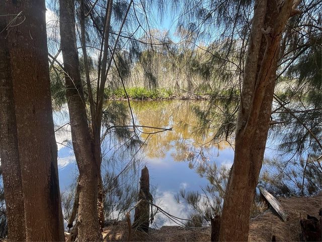 LEGION DRIVE, Tarpon Springs, FL 34689
