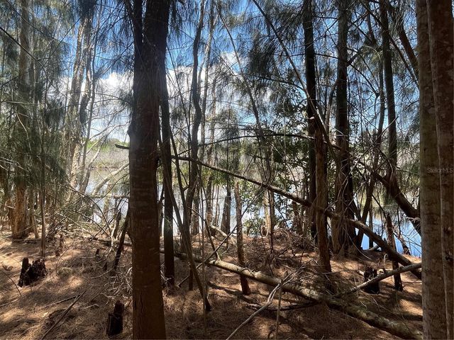 LEGION DRIVE, Tarpon Springs, FL 34689