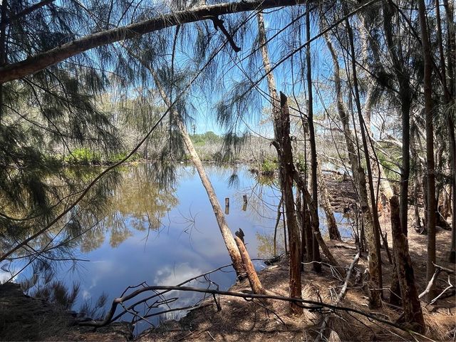 LEGION DRIVE, Tarpon Springs, FL 34689