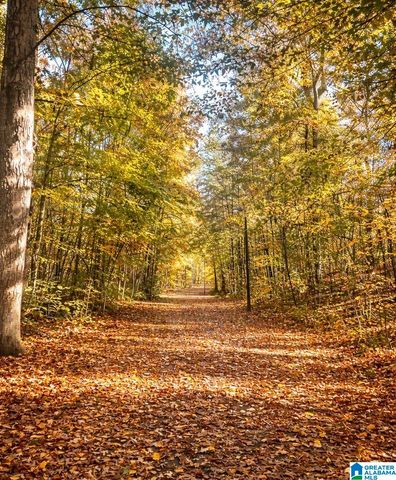 3552 HIGHWAY 39, Chelsea, AL 35043