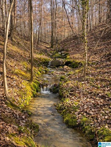 3552 HIGHWAY 39, Chelsea, AL 35043