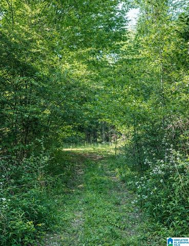 3552 HIGHWAY 39, Chelsea, AL 35043