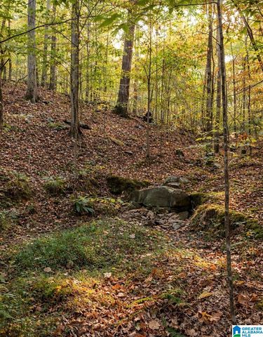 3552 HIGHWAY 39, Chelsea, AL 35043