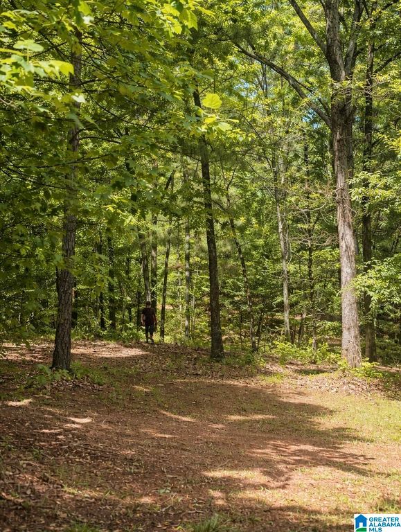 3552 HIGHWAY 39, Chelsea, AL 35043