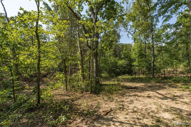 10179 Vine Road, Cadet, MO 63630