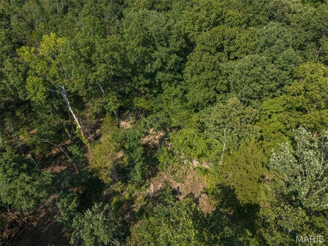 10179 Vine Road, Cadet, MO 63630