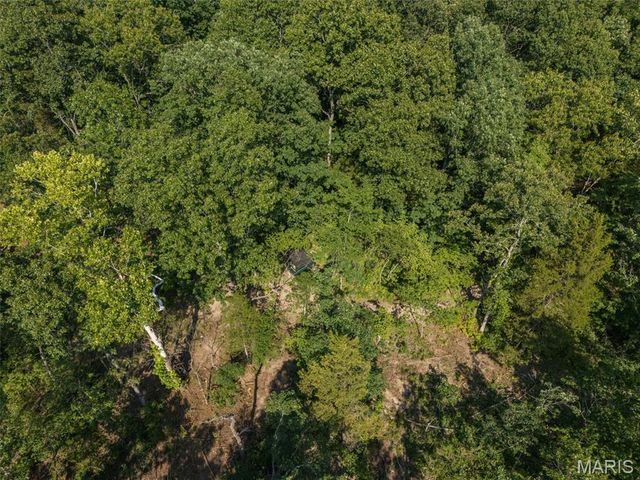 10179 Vine Road, Cadet, MO 63630