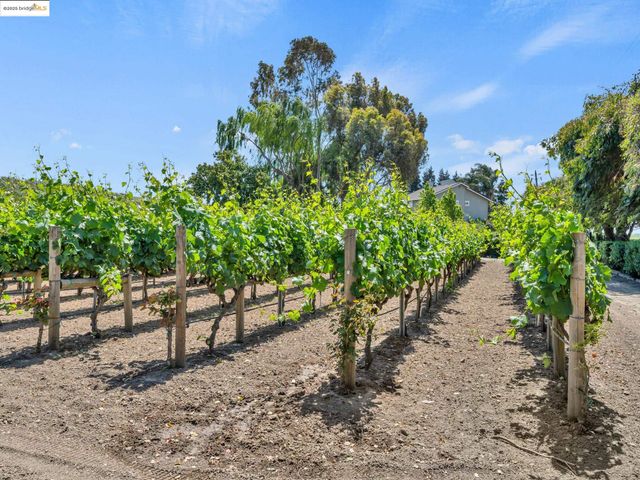 17035 TERMINOUS RD, Isleton, CA 95641