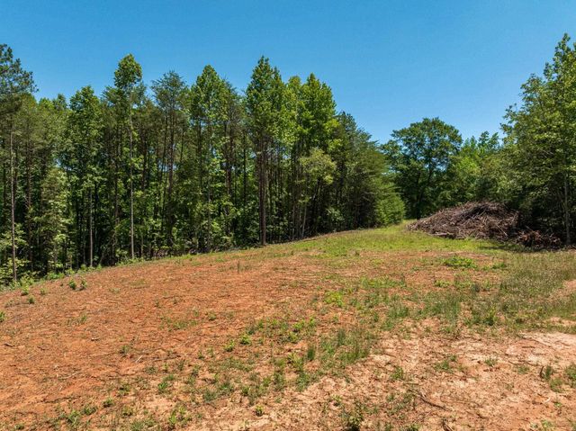 Wicklow, Campobello, SC 29322