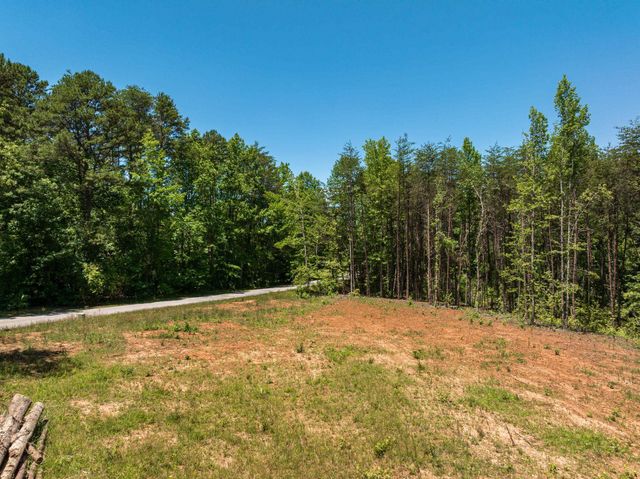 Wicklow, Campobello, SC 29322