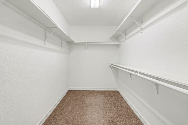 14019 Sunrise Arbor Lane, Cypress, TX 77429