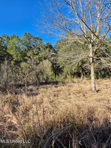 16th Street, Bay Saint Louis, MS 39520