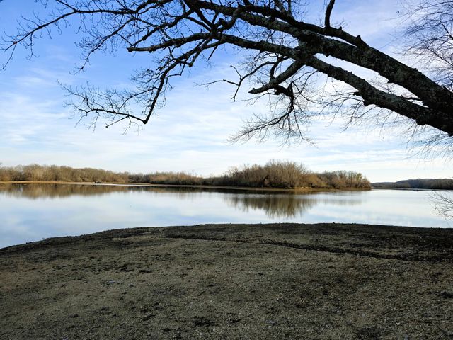 62 Foster Dr, Camden, TN 38320