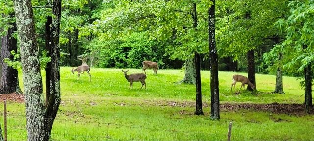 62 Foster Dr, Camden, TN 38320