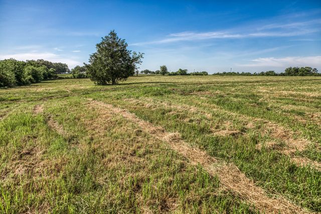Tract 5 - 8145 Fm 390 E, Brenham, TX 77833