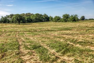 Tract 5 - 8145 Fm 390 E, Brenham, TX 77833