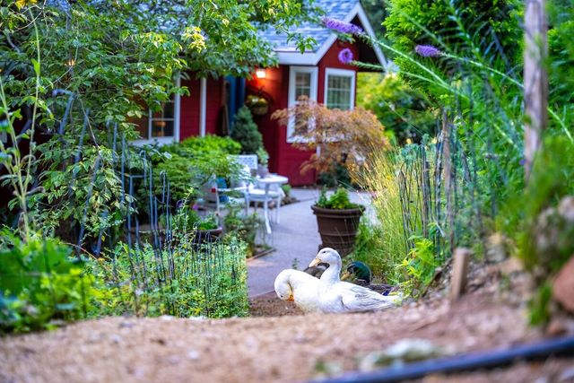 5962 Arrowhead Dr, Foresthill, CA 95631