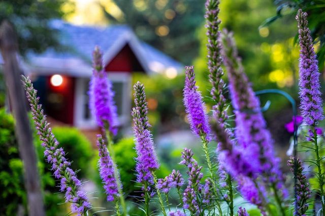 5962 Arrowhead Dr, Foresthill, CA 95631