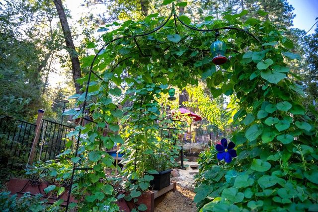 5962 Arrowhead Dr, Foresthill, CA 95631