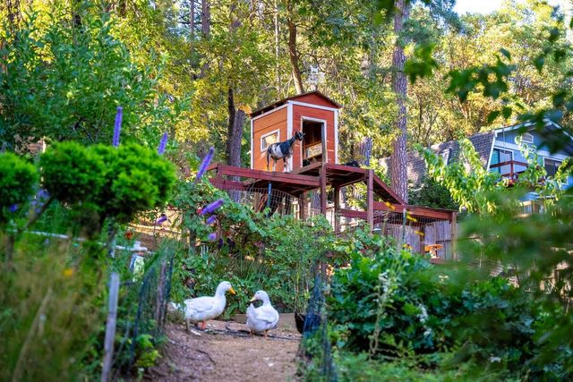 5962 Arrowhead Dr, Foresthill, CA 95631