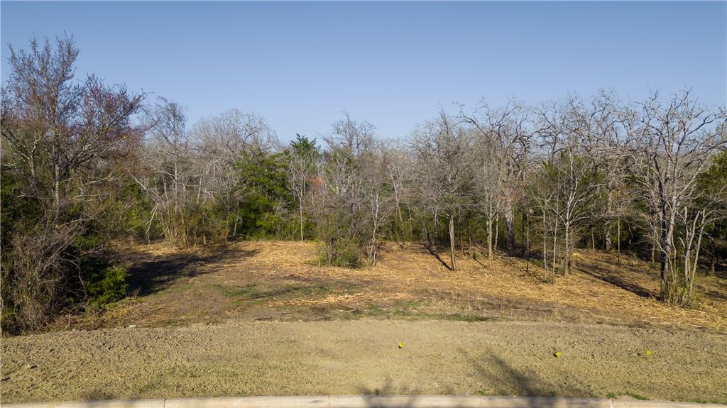 3325 Stephans Crossing, Bryan, TX 77807 — exterior