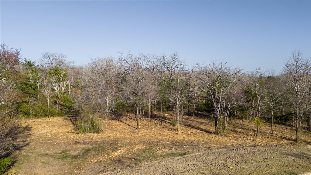 3325 Stephans Crossing, Bryan, TX 77807 — photo 2